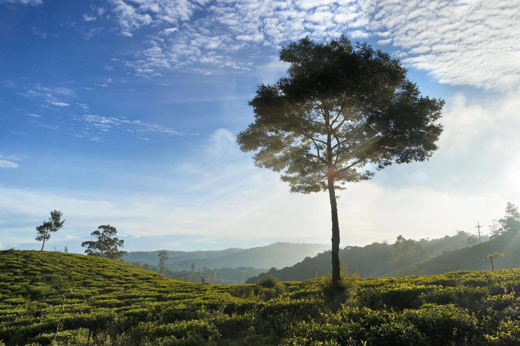 Kent Cottage Nuwara Eliya Eksteriør bilde